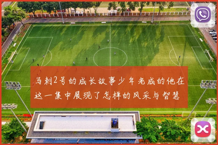 马刺2号的成长故事少年老成的他在这一集中展现了怎样的风采与智慧